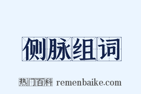 侧脉组词是什么意思的图片